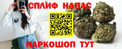 прущие грибы Кулебаки