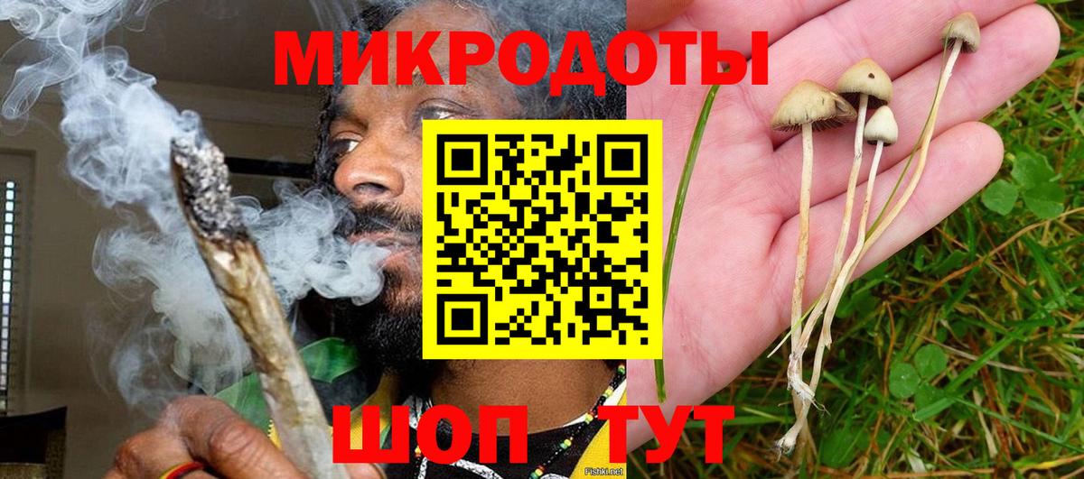 Галлюциногенные грибы Magic Shrooms  Вход с VPN  Галлюциногенные грибы MAGIC MUSHROOMS  Избербаш 