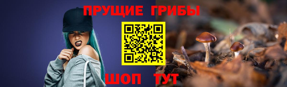 Псилоцибиновые грибы Magic Shrooms Избербаш